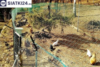 Siatki Ostróda - Siatka na woliery - zabezpieczenia ptaków w hodowli dla terenów Ostródy